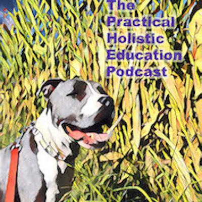Introduction to The Practical Holistic Education Podcast