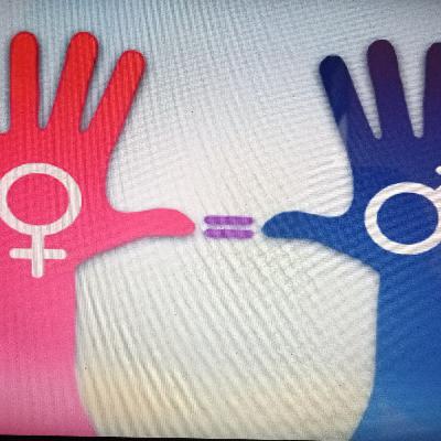 Perspectiva de género en la educación