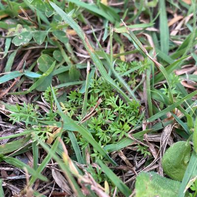 Felipe and Me? Felipe and Me?