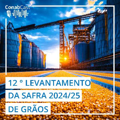 Safra de grãos 2024/205 é estimada pela Conab em 350,2 milhões de toneladas e atinge novo recorde histórico
