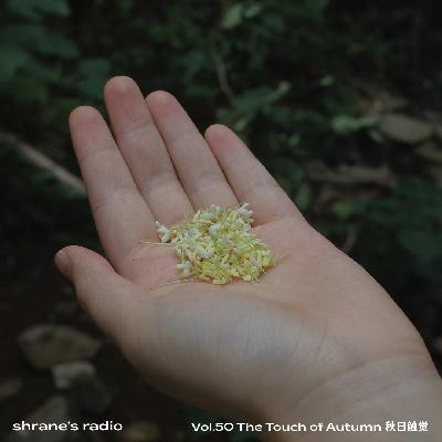 Vol.50 The Touch of Autumn 秋日触觉 | IDM/Folk/Jazz
