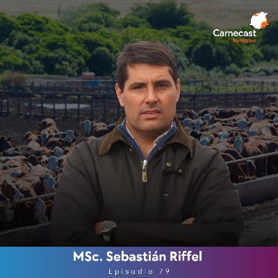 #79 - Recría bovina: Eslabón clave identificado en el diagnóstico productivo - MSc. Sebastián Riffel