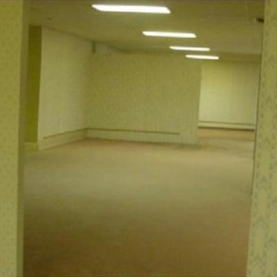 The Backrooms