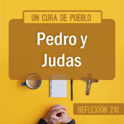 Reflexiones católicas | Pedro y Judas