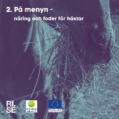 På menyn - näring och foder till hästar På menyn - näring och foder till hästar