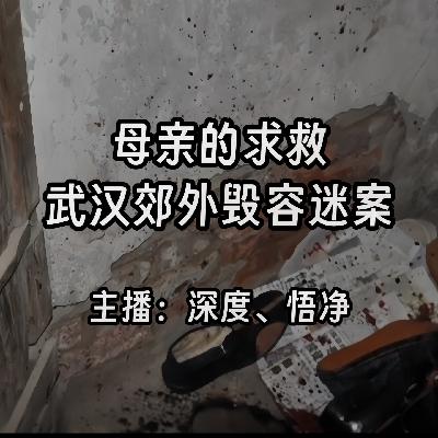 45.母亲的求救：武汉郊外毁容迷案