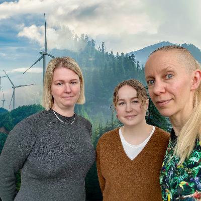 Mediebilden av den gröna omställningen i norr