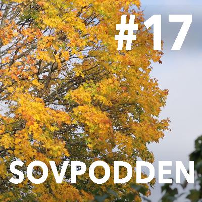 17. Höstvindar i gula löv. 17. Höstvindar i gula löv.