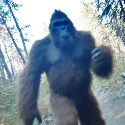 4 TRUE CREEPY NEW HOUSE HORROR STORIES