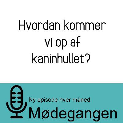 34. Hvordan kommer vi op af kaninhullet?