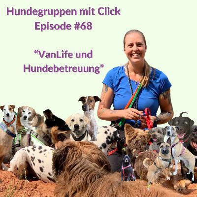 VanLife und Hundebetreuung VanLife und Hundebetreuung