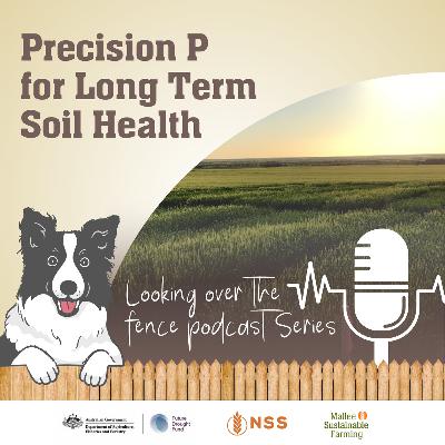 Precision P for Long Term Soil Health Precision P for Long Term Soil Health