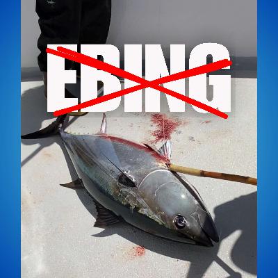 Catch MONSTER Tuna With The Improved Japanese EBING Technique