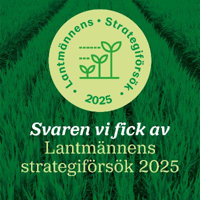 102: Svaren vi fick av Lantmännens strategiförsök 2025