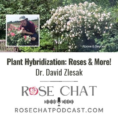 PLANT HYBRIDIZATION: ROSES and MORE!