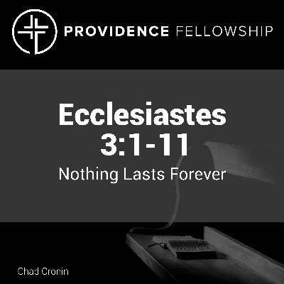 Sneakers, streetwear & audace : le parcours inspirant de Martin Chapuy