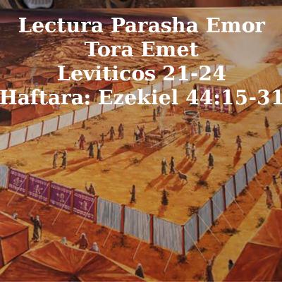 Lectura Parasha Emor - Tora Emet