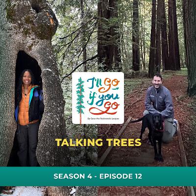 Talking Trees