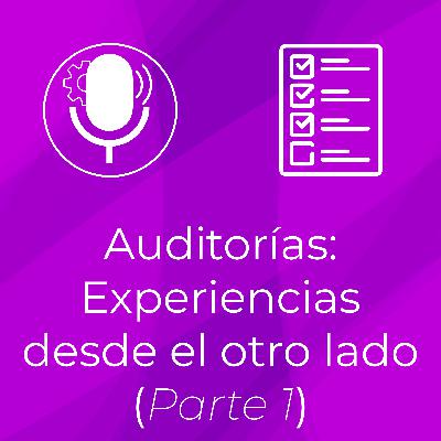 Auditorías: Experiencias desde el otro lado (Parte 1)