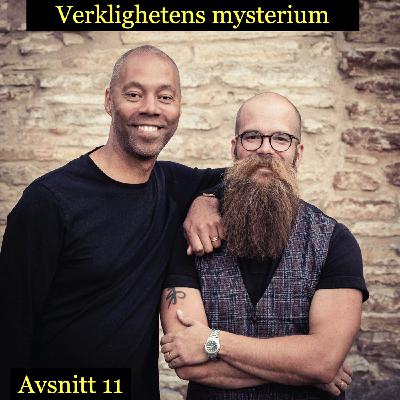 Avsnitt 11: Vila Avsnitt 11: Vila