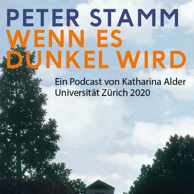 Wenn es dunkel wird_Peter Stamm_von Katharina Alder_November 2020