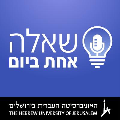 20 אחוז מהאוכלוסייה בסיכון: למה אנחנו נכנסים לדיכאון? 20 אחוז מהאוכלוסייה בסיכון: למה אנחנו נכנסים לדיכאון?