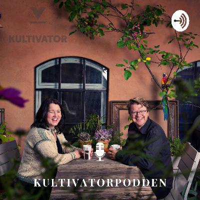 Godt revitalisert nytt år!