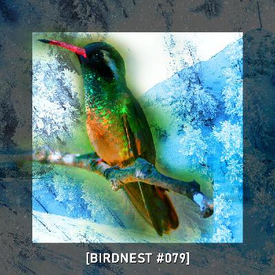 BIRDNEST #079 | This One For Winter | Podcast by The Lahar