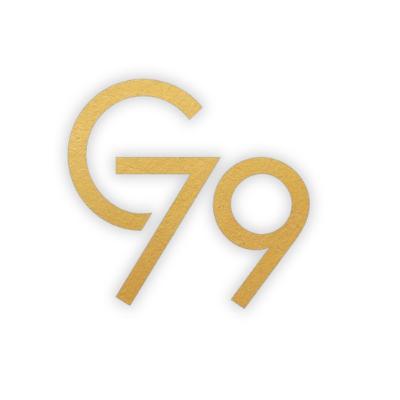 Gold79 Commences Drilling with Improved Understanding from Geophysical Interpretation at its Gold Chain Project