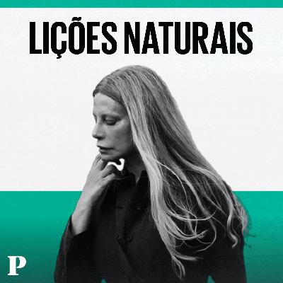 Como é que a natureza lida com o stress? Como é que a natureza lida com o stress?