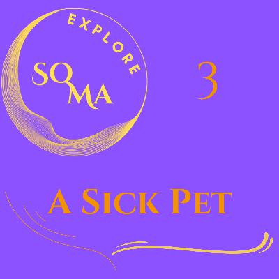 SoMa 3 A Sick Dog