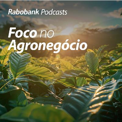 Olho no Mercado I Impacto das tarifas americanas