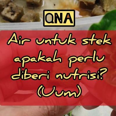QNA#024 - Air untuk stek
apakah perlu
diberi nutrisi?
