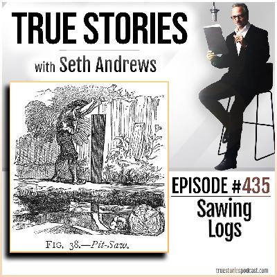 True Stories #435 - Sawing Logs True Stories #435 - Sawing Logs