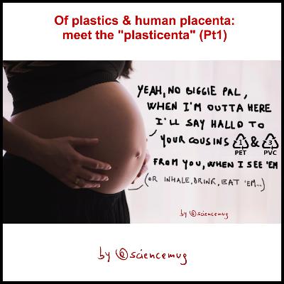 Of plastics & human placenta: meet the "plasticenta" (Pt1/4)