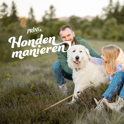 Afl. 12: Wat als je hond niet meer bij je past?