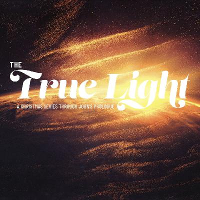 The Word At The Beginning | The True Light The Word At The Beginning | The True Light
