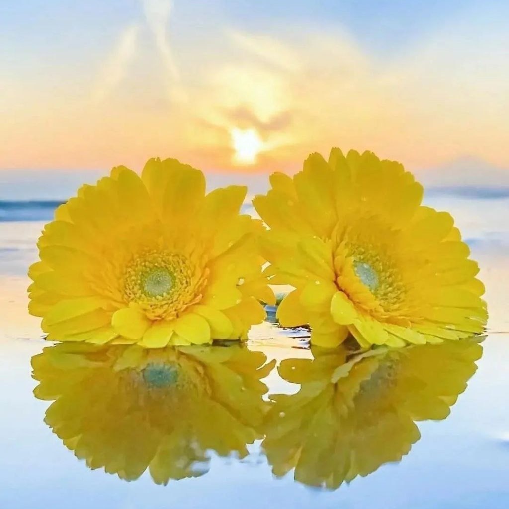 دکلمه آهنگ فول انگیزشی دکلمه آهنگ فول انگیزشی