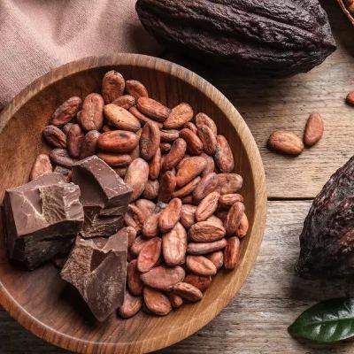 Cacao en estados de Oaxaca, Chiapas, Campeche y Yucatán. Cacao en estados de Oaxaca, Chiapas, Campeche y Yucatán.