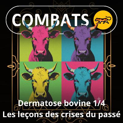 S05E52 Dermatose bovine 1/4 : Les leçons - oubliées - des crises précédentes ? (Julien Herla)
