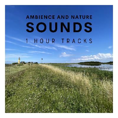 Ambience: Bird sounds from Omø, Denmark (1 hour) Ambience: Bird sounds from Omø, Denmark (1 hour)