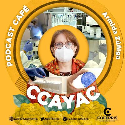 Podcast Café: CCAYAC