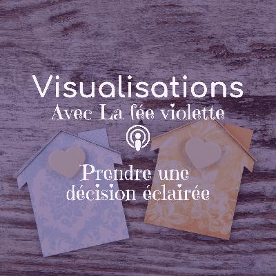 Visualisation 3 - Prendre une décision éclairée