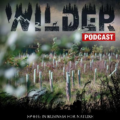 Ep. 035: In Business For Nature: Project Updates and Make it Wild