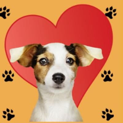 Dr Pezzini & Dr Ferrari being interviewed by Executive Producer Mrs. Susan Sherayko Dr Pezzini & Dr Ferrari being interviewed by Executive Producer Mrs. Susan Sherayko