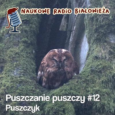 #12 Puszczanie Puszczy - Puszczyk