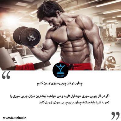 چطور در فاز چربی سوزی تمرین کنیم؟ (هوش مصنوعی)