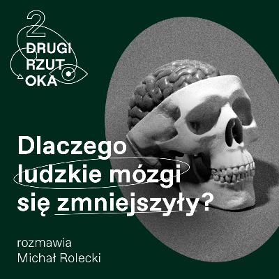 Czy rozmiar ma znaczenie? Dla ewolucji najwyraźniej nie Czy rozmiar ma znaczenie? Dla ewolucji najwyraźniej nie