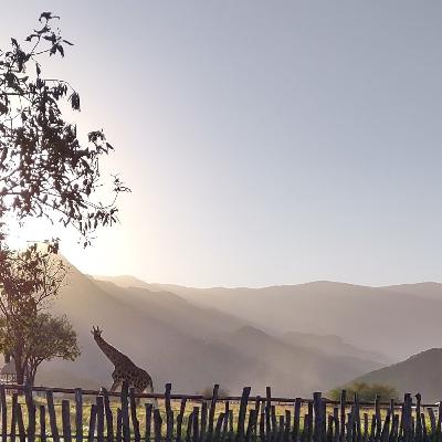 Un diario para No ser leído: ESTAR SOLA