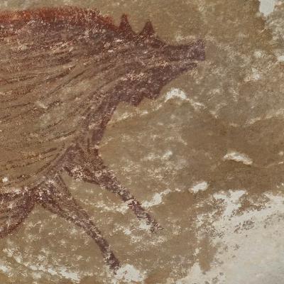 #101 - Sulawesi rock art